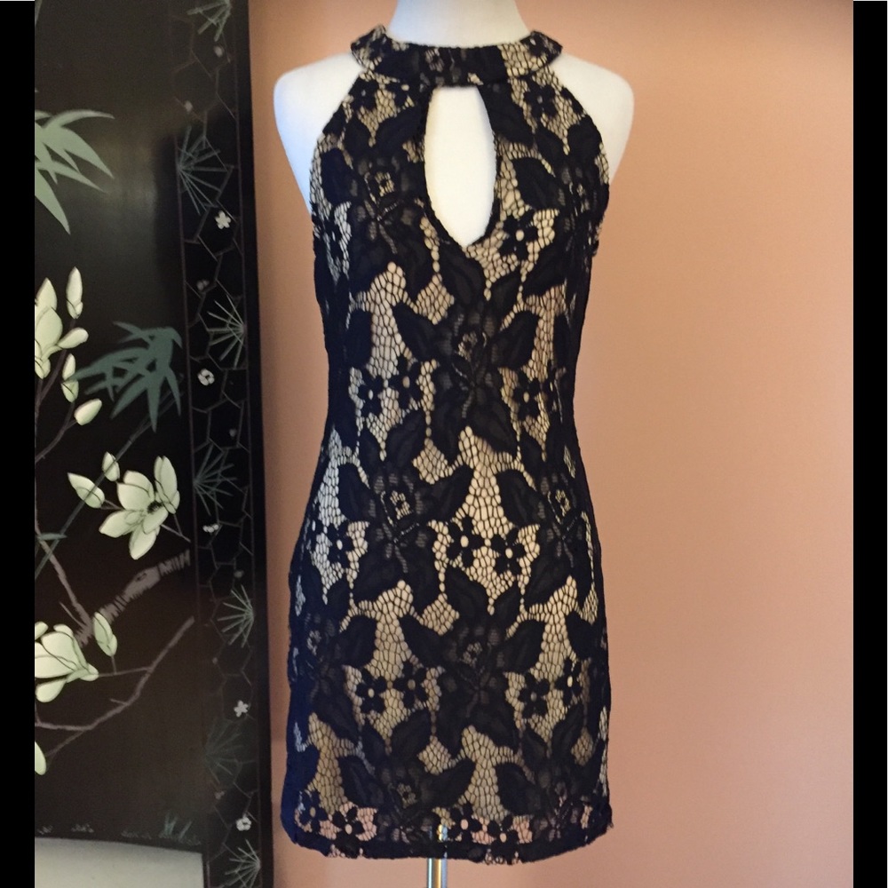 Windsor Stunning Sexy and Feminine Navy Lace Dress